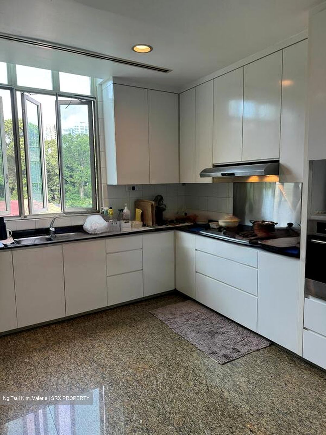 The Twins (D10), Apartment #638622991